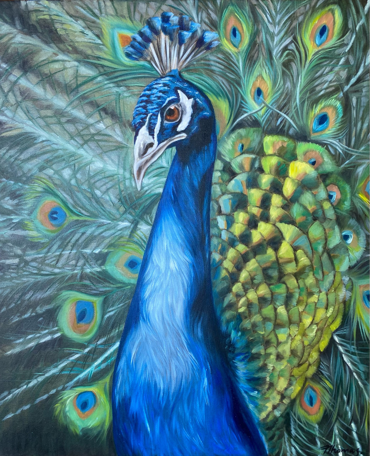 Peacock